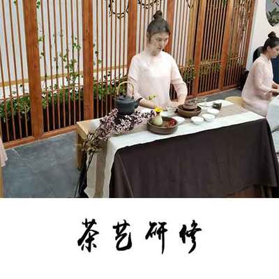 安溪铁观音 一叶传承千载的茶道文化瑰宝