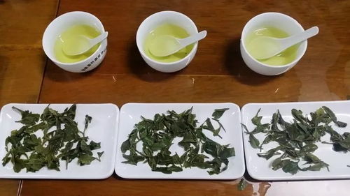 市茶产业培训暨茶叶制作技能竞赛在羊楼洞茶文化生态产业园举行